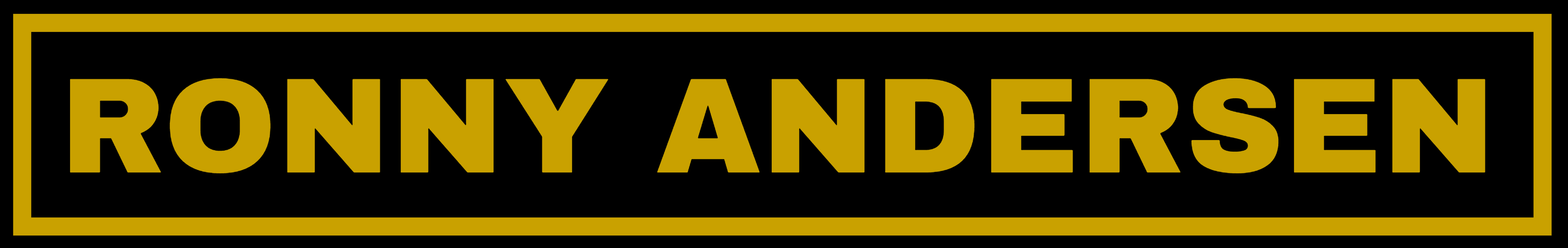 Ronny Andersen – Erfaren entreprenør i Rødberg