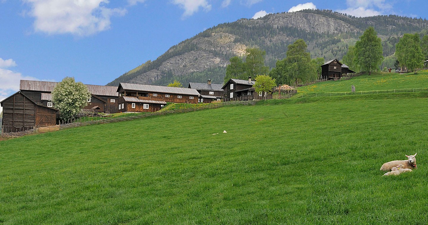 Rudi Gard | Dyrkar gode opplevingar | Rudi Gard