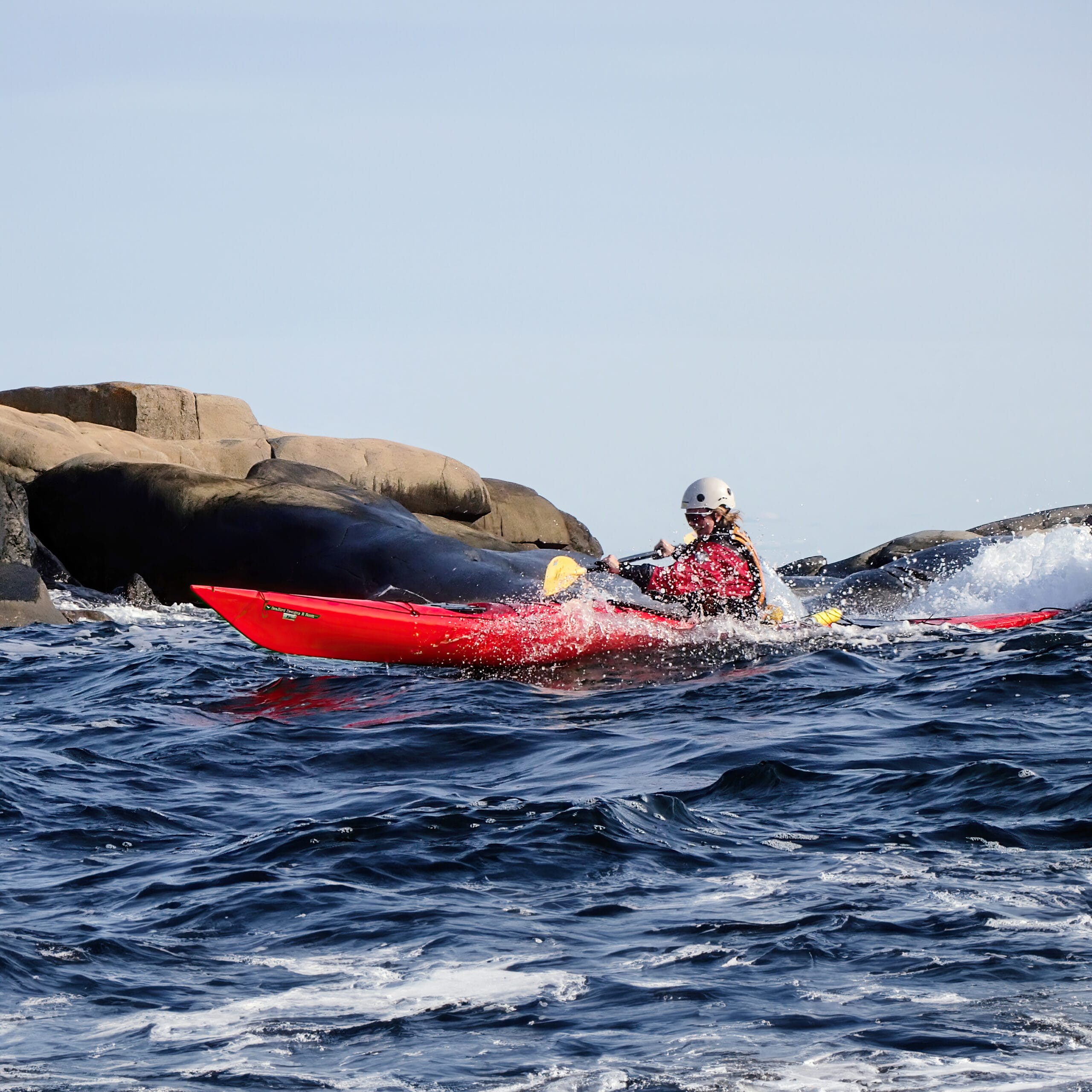 Sagavoll Folkehøgskole - Tid for liv!