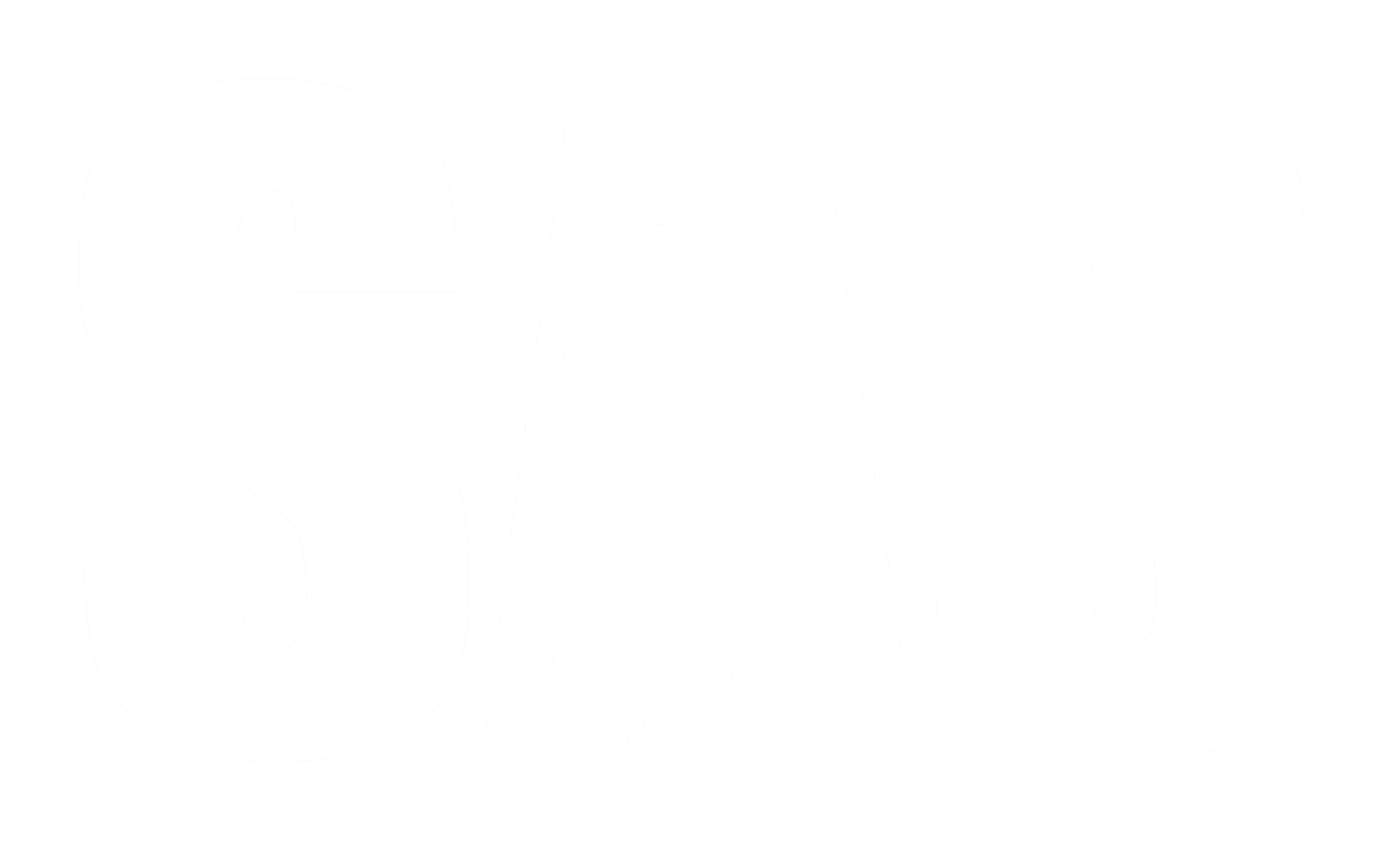 SAS woodsball Norway