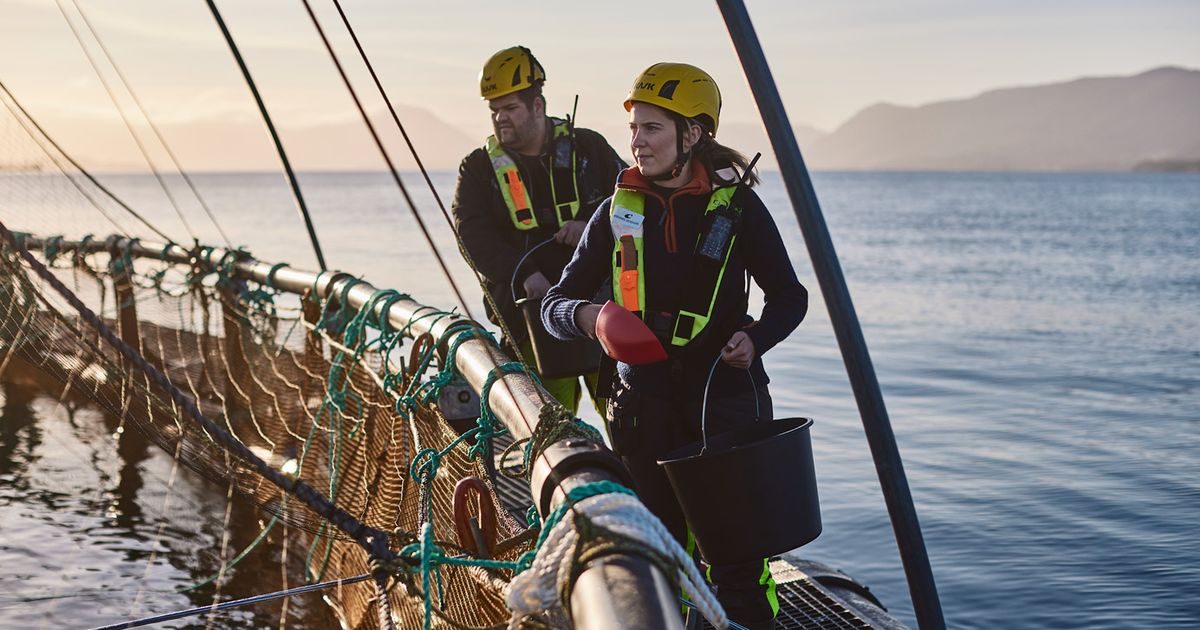 Kvalitetspionéren Bremnes Seashore