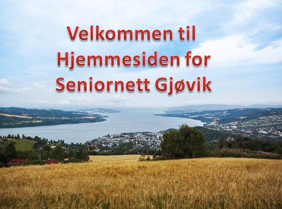 Gjøvik - Seniornett Norge