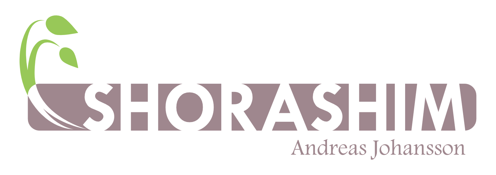 Israel, historie, samfunn og Bibel /Andreas Johansson - Shorashim