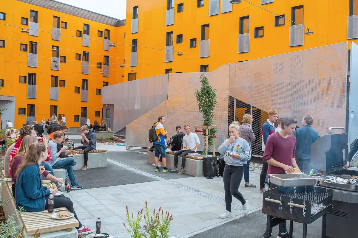 Studentsamskipnaden i Østfold