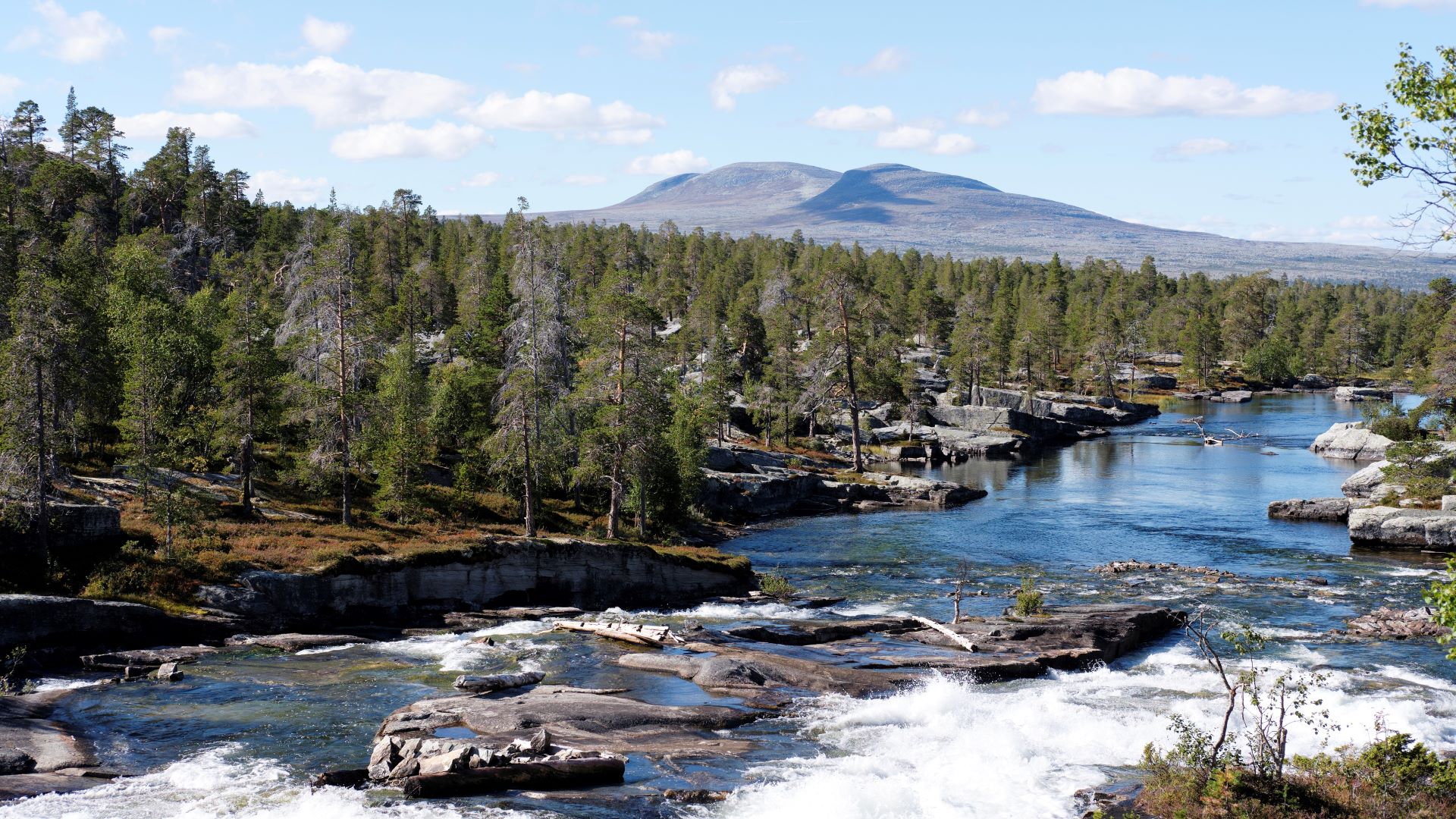 Velkommen til Femundsmarka nasjonalpark
