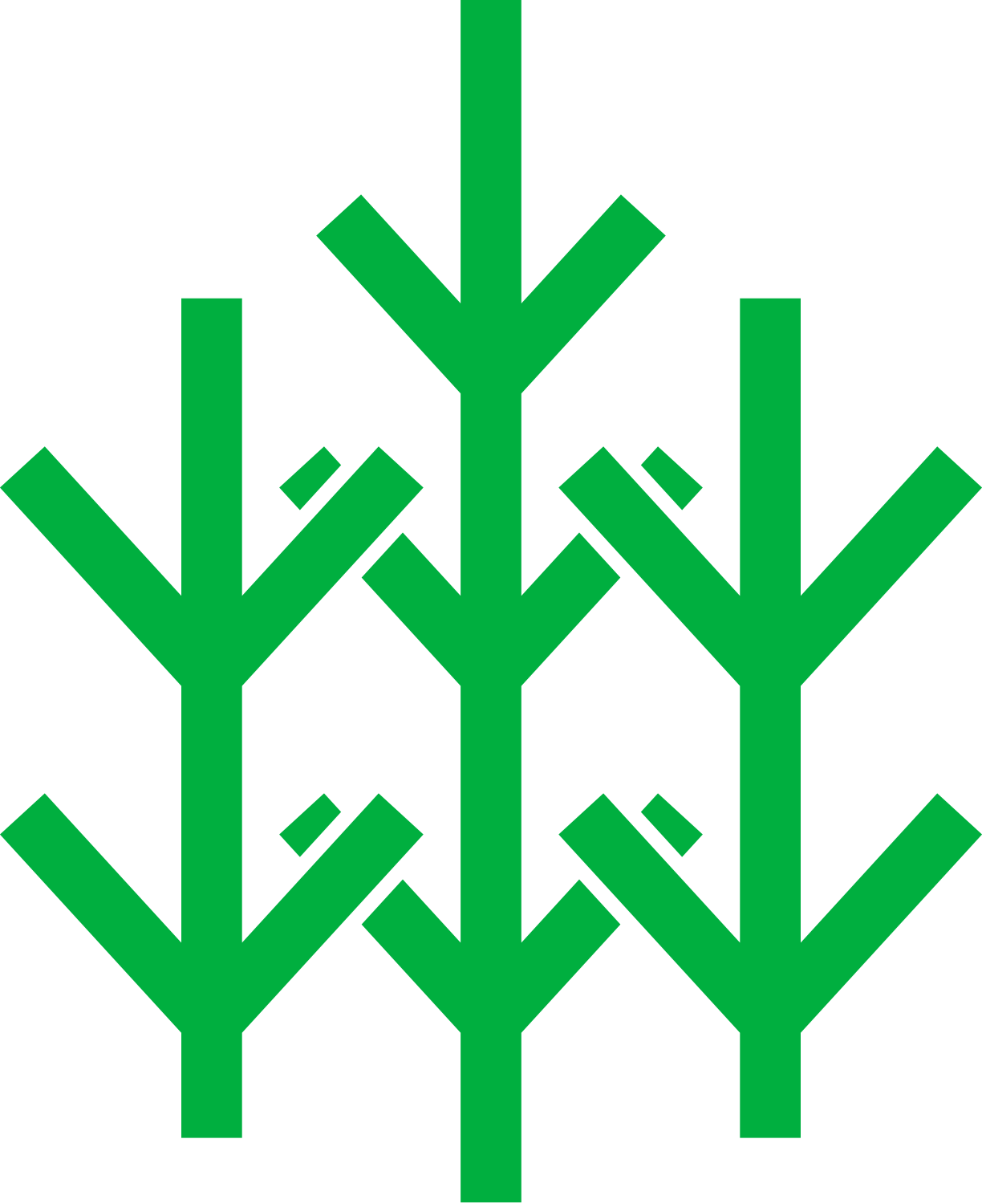 Norges Skogeierforbund