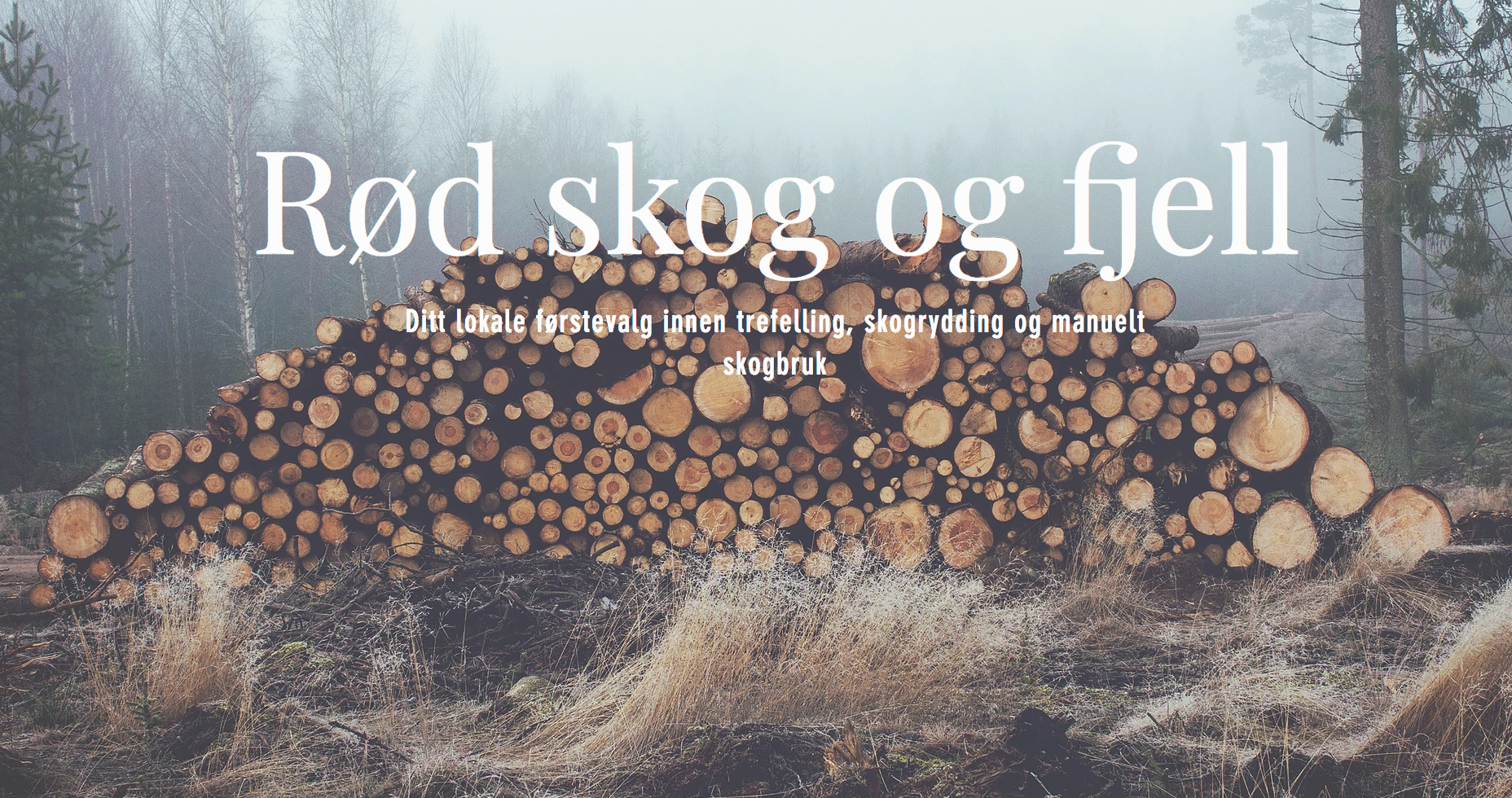 Trefelling, skogrydding | Møre og Romsdal | Rød skog og fjell