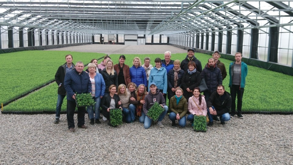 Skogplanter Innlandet - Stolte av skogen.