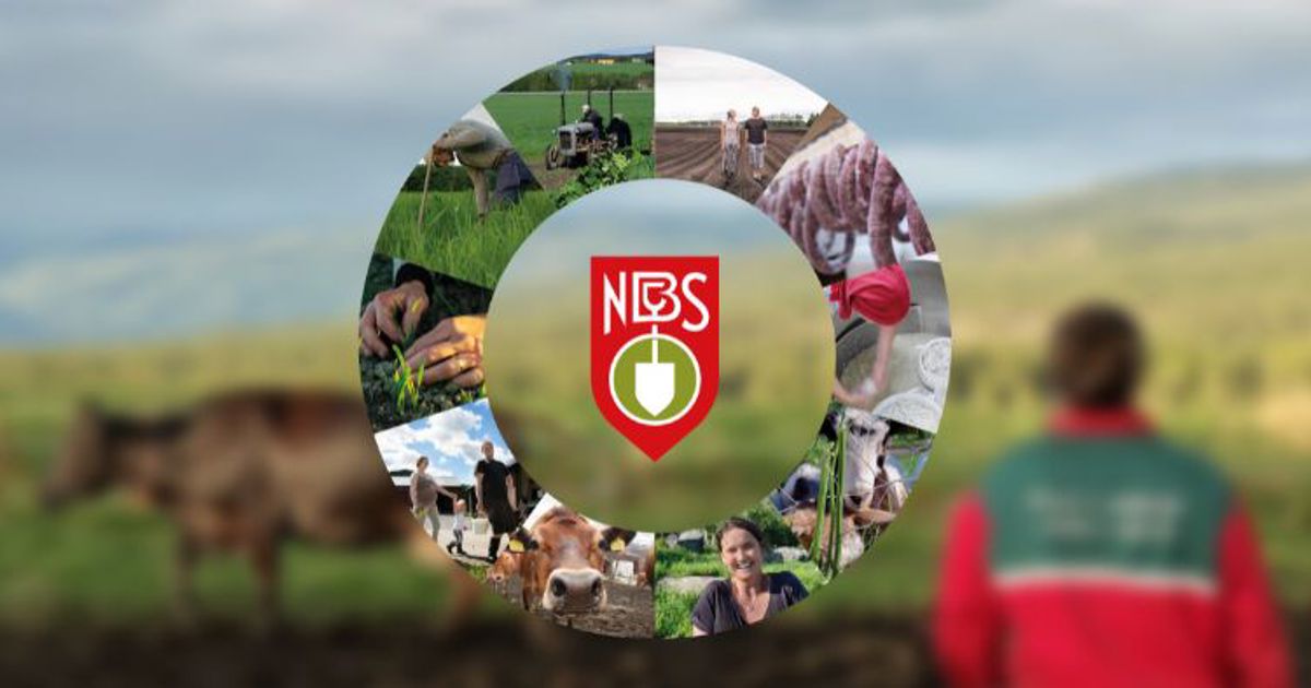 Norsk Bonde- og Småbrukarlag