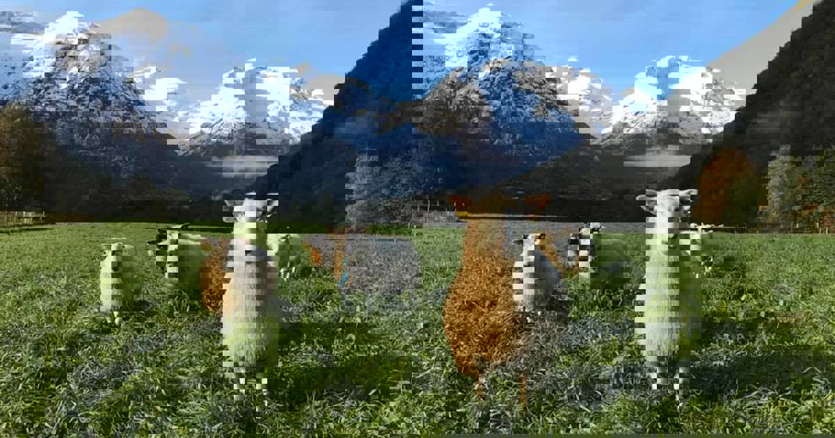 404 - Siden ble ikke funnet :(