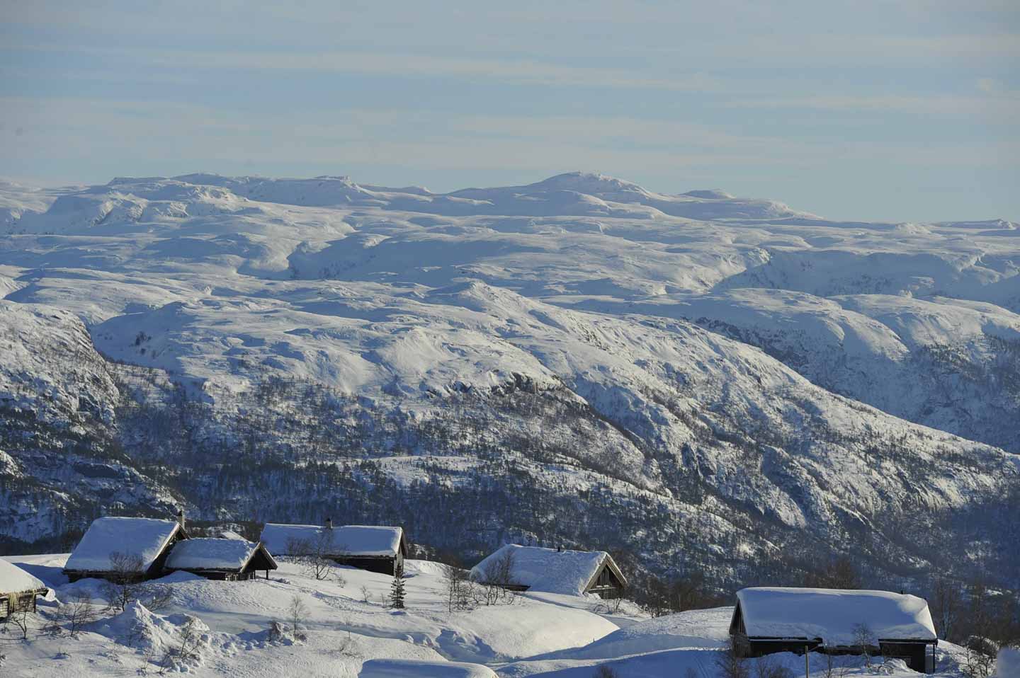 Fjellbergsskardet Hyttegrend