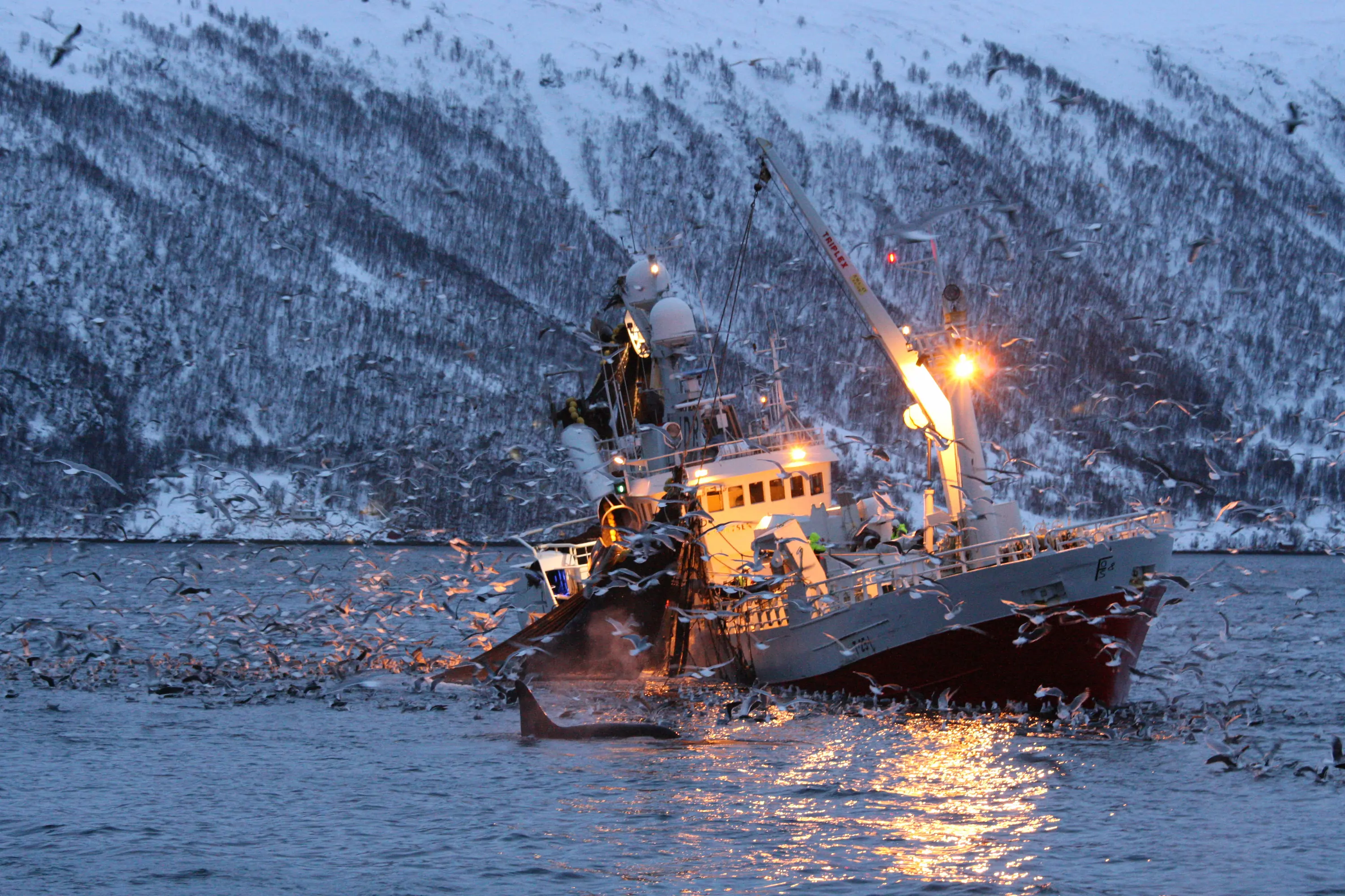 Solhaug Maritim - skipsmeglere i Finnmark