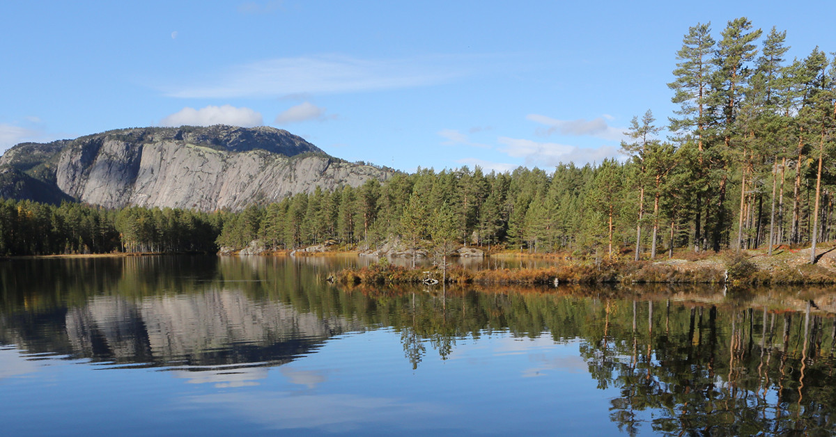 Solheia Hyttegrend - Hyttetomter til salgs