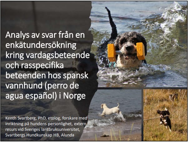 Forside - Spansk Vannhundklubb Norge