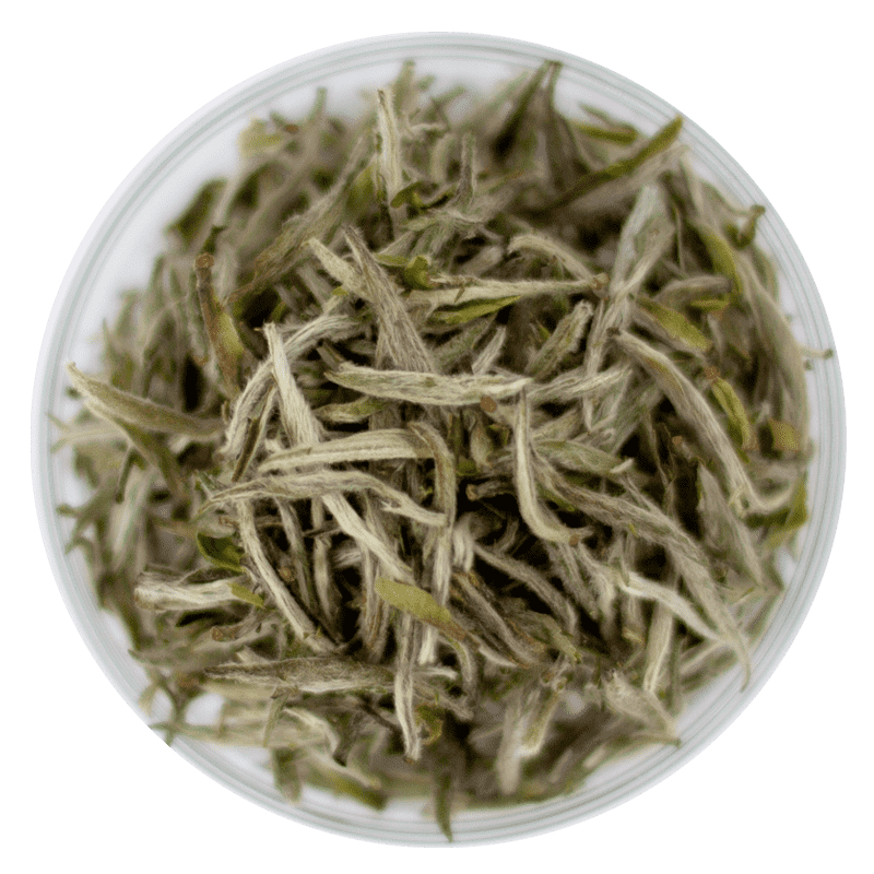 Tebutikk på nett - Fersk bærekraftig te fra Spill the Tea AS