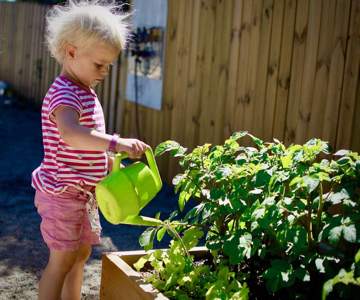 Hjem - Spiren barnehage