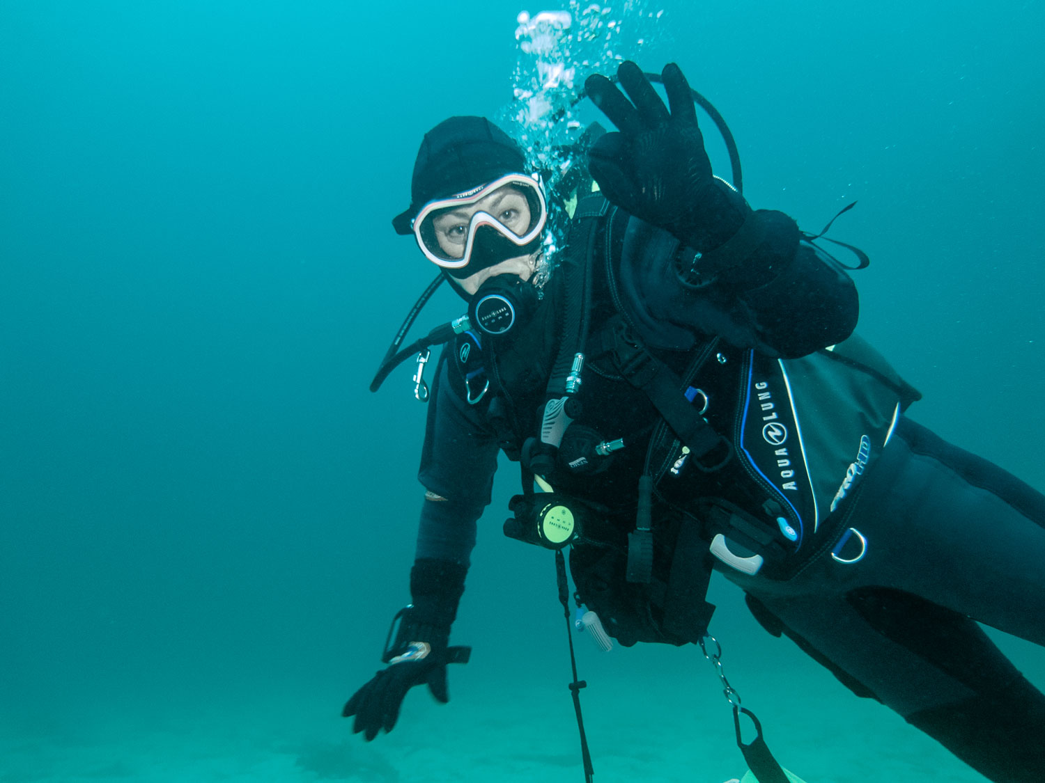 Hjem - Sotra Sportsdykkerklubb