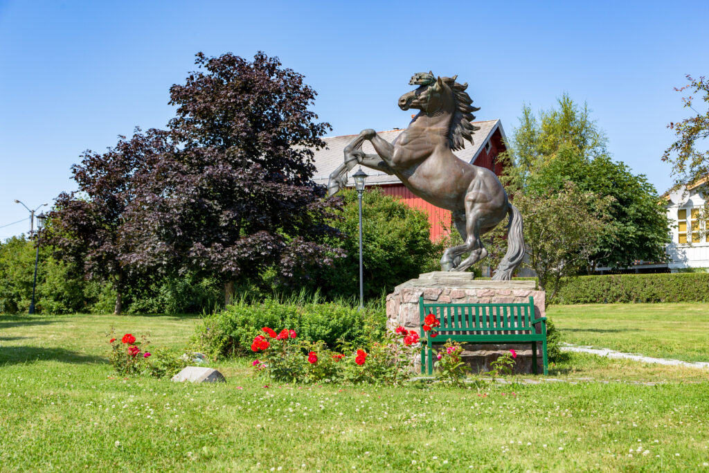Forside - Stadsbygd Bygdeutvikling