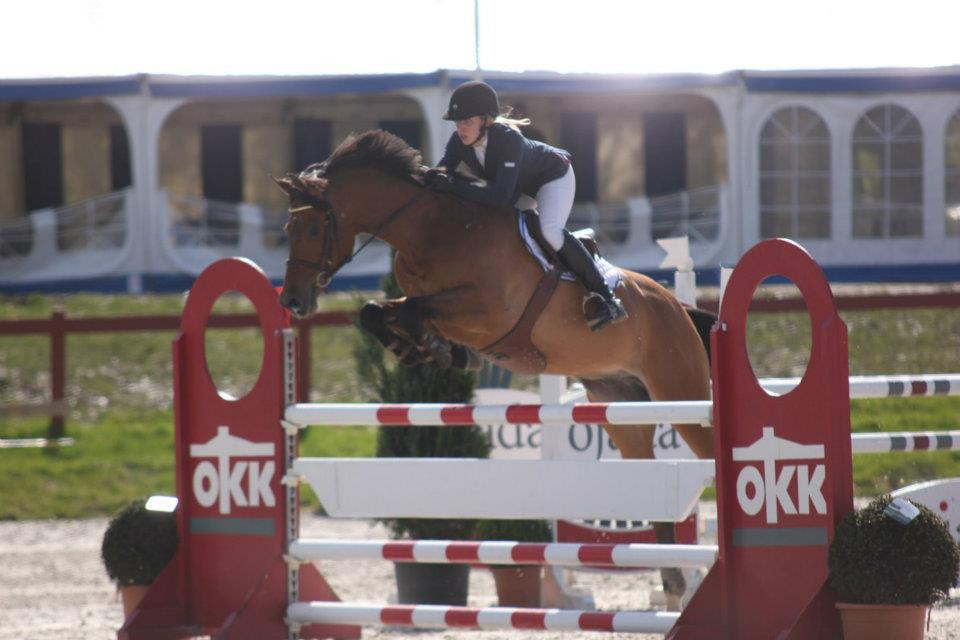 Stutteri Varmblodshester | Stall Og Stutteri Kfarstad | Farstad