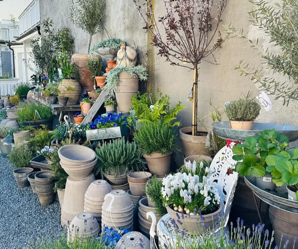 Butikk i Stavern - Stavern Blomstermakeri - Interiør og Blomster