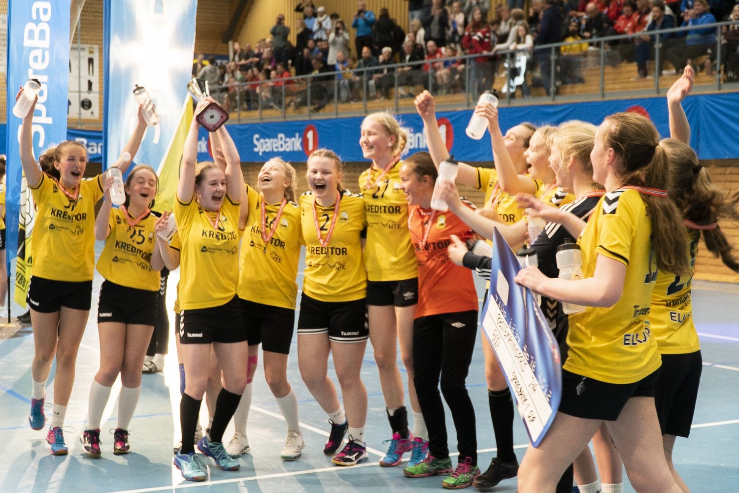 Steinkjer Håndballklubb