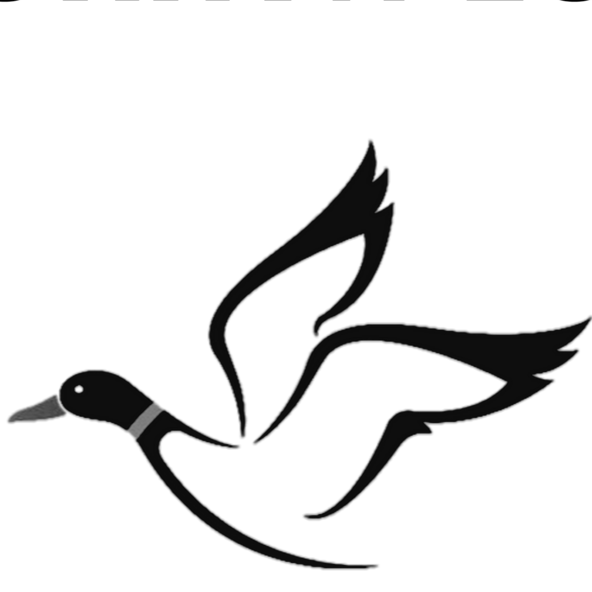 Velkommen til Stokkan Foto. 