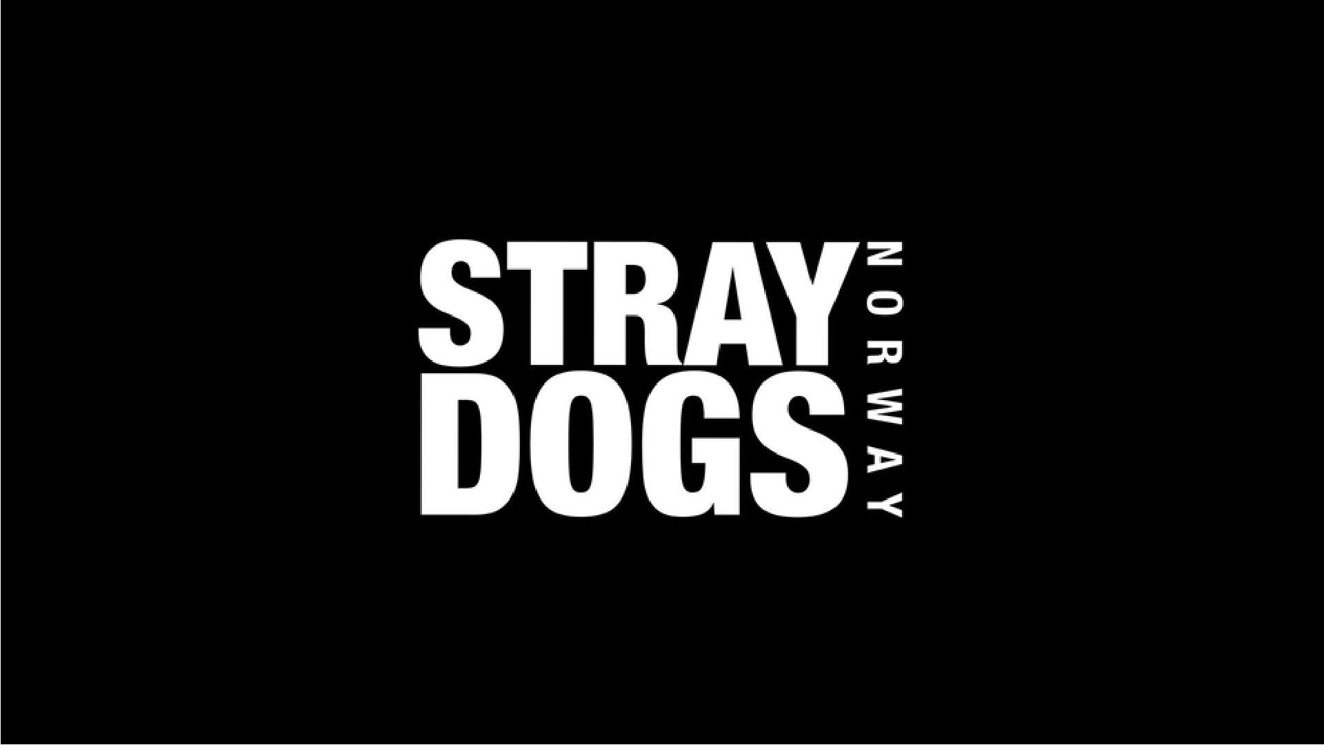 Stray Dogs Norway