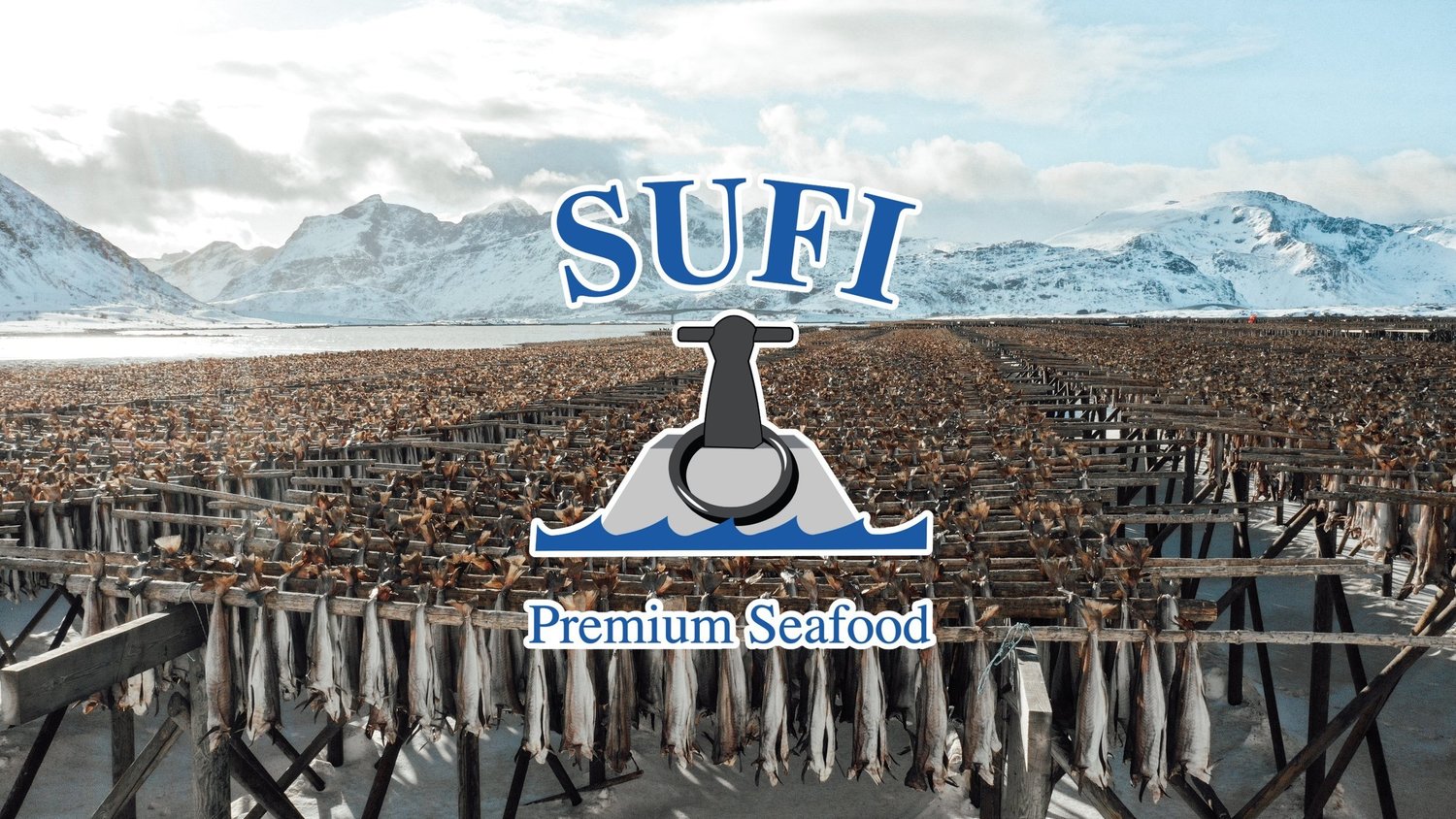 SUFI AS - Premium Seafood From Norway