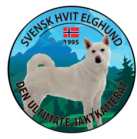 svenskhvitelghund.no