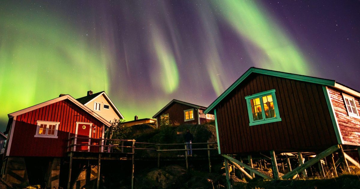 Overnatting i Lofoten med gode opplevelser - Svinøya Rorbuer