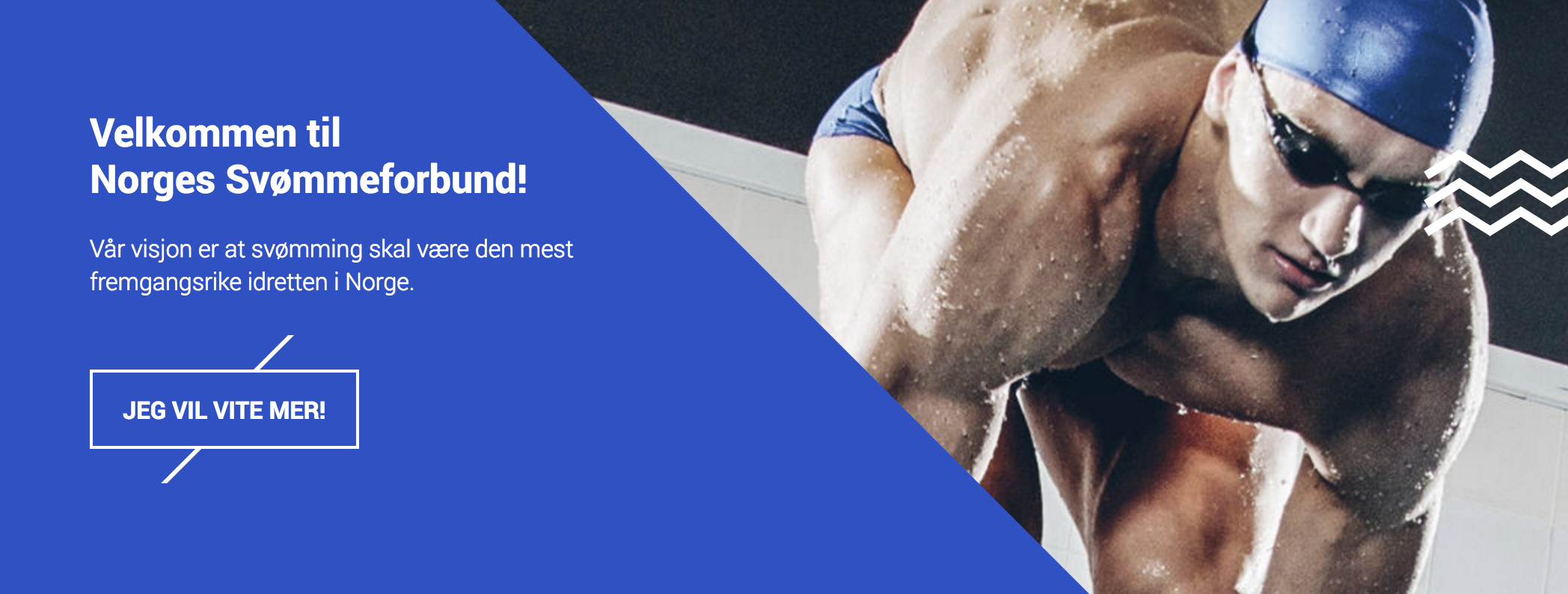 Norges Svømmeforbund