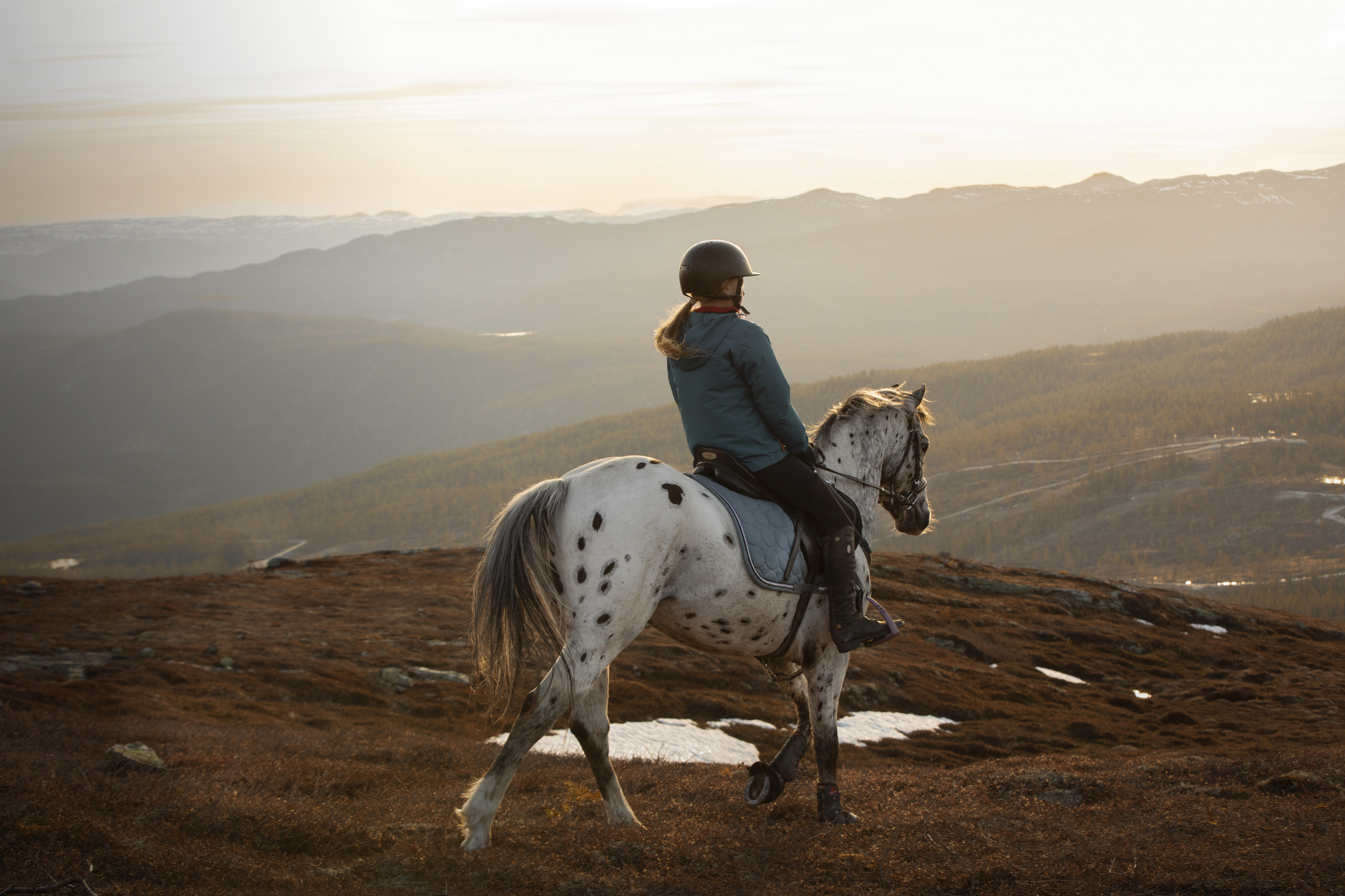 Fredensborg Fritid - Destinasjons- og fritidsboligutvikler