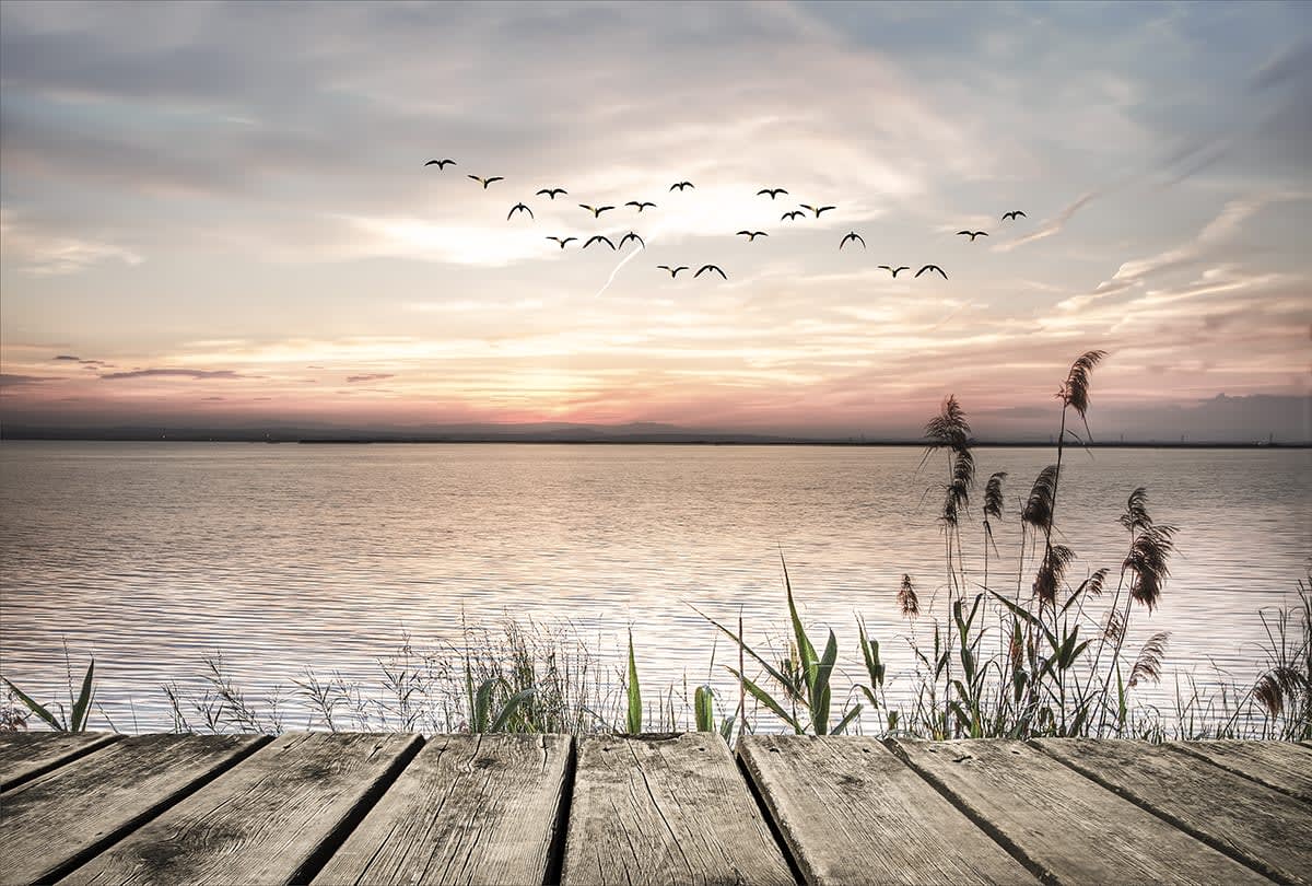 Forsiden Taberna Ramme