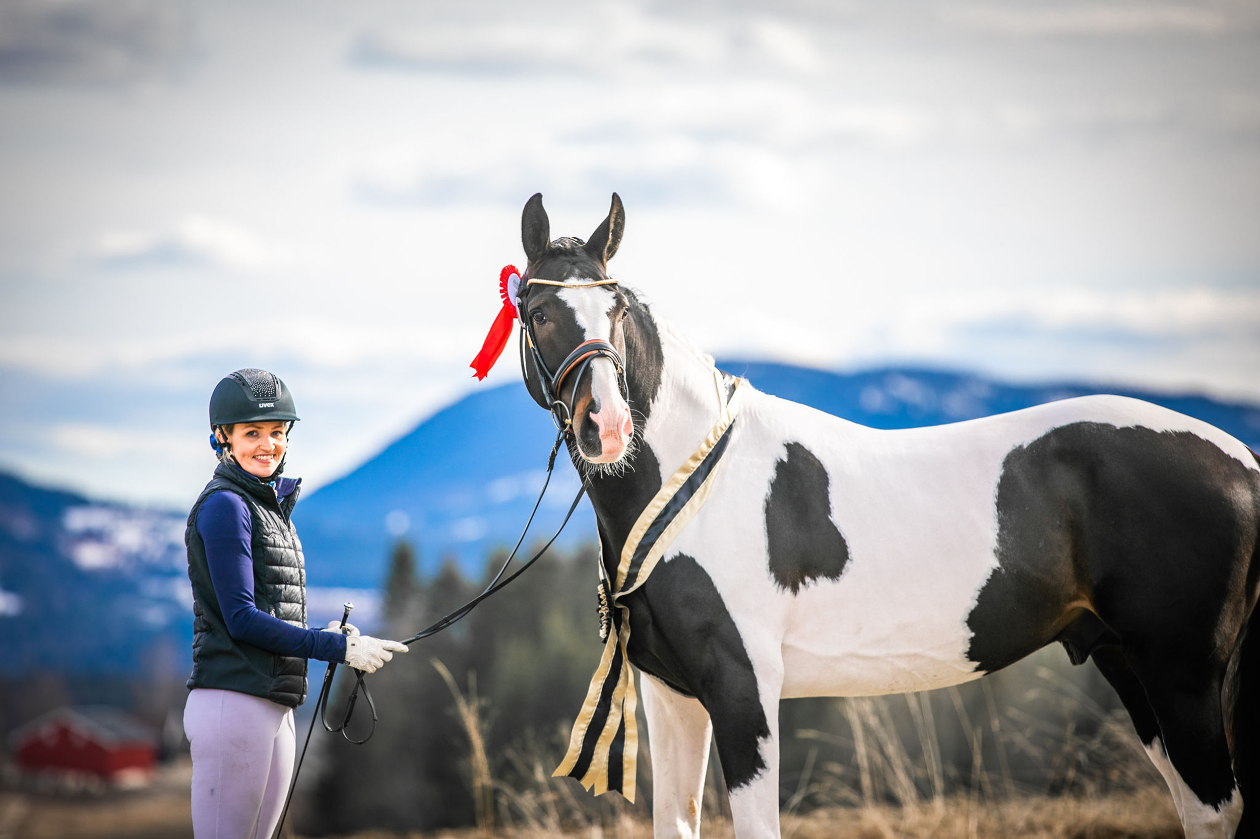 Tafjord Horses | Dressur, Trening og Avl | Møre Og Romsdal