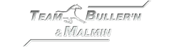 Team Bullern