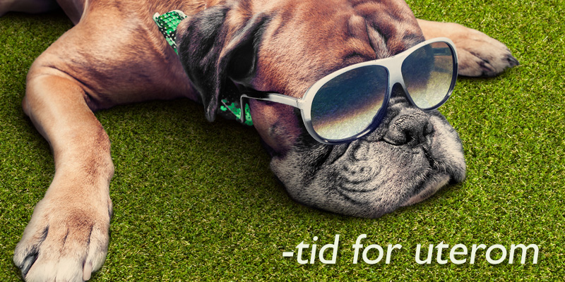 TEPPELAND® Gir deg mer å gå på™ | Gir deg mer å gå på™