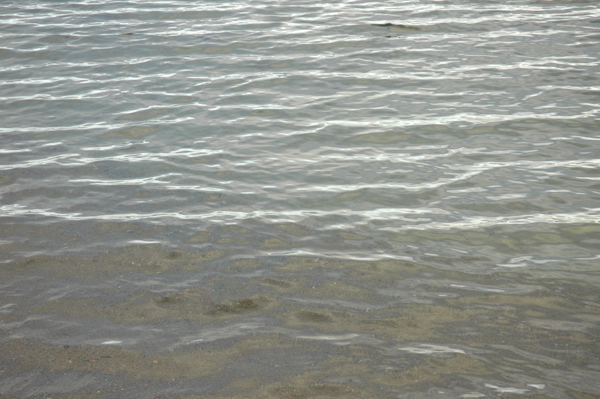 toftebaatforening.no