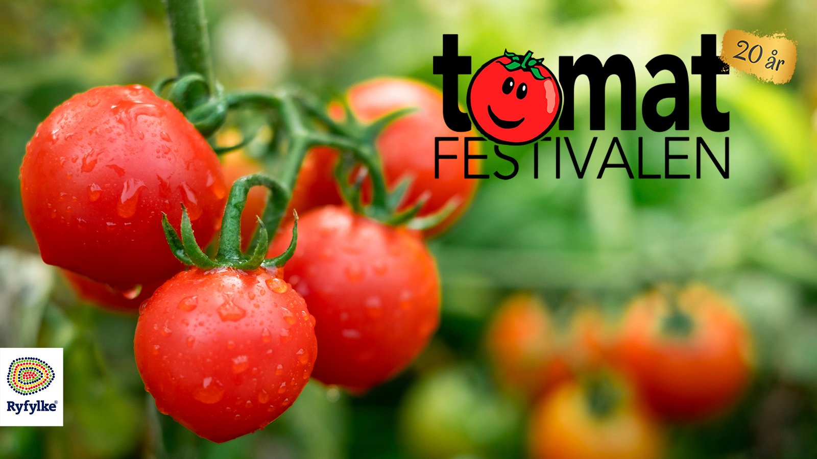 Tomatfestivalen