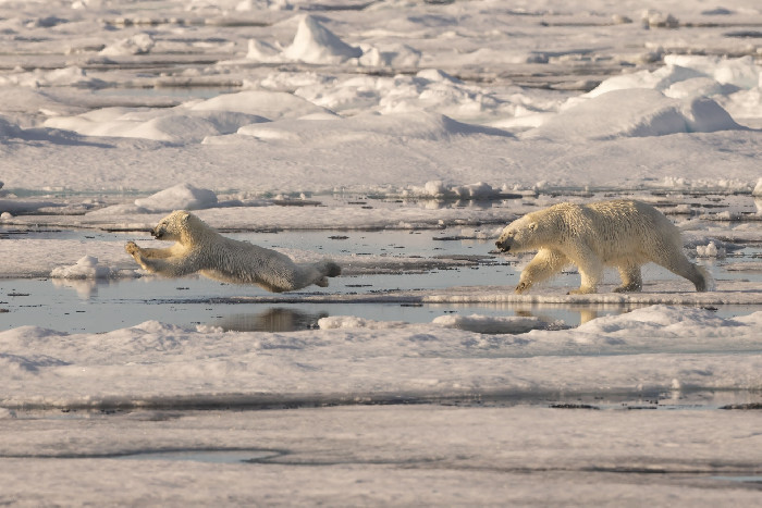 Tønsberg Kamera Klubb