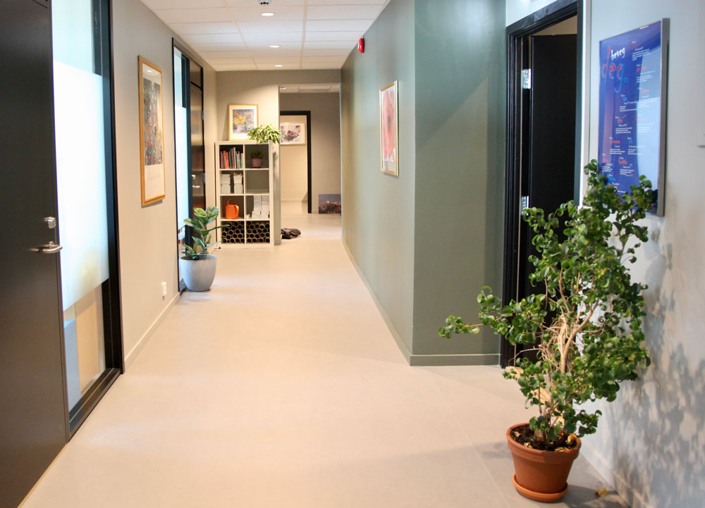 Tonsenhagen fysikalske institutt