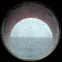 The Commercial Toralf