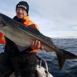 Home - Torsvåg Havfiske