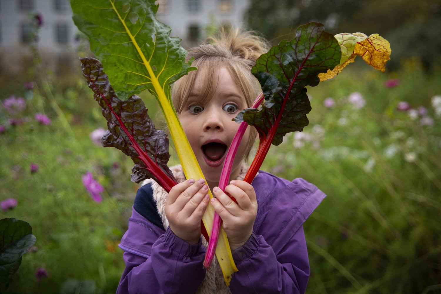 Geitmyra matkultursenter – Matglede, folkehelse og bærekraft