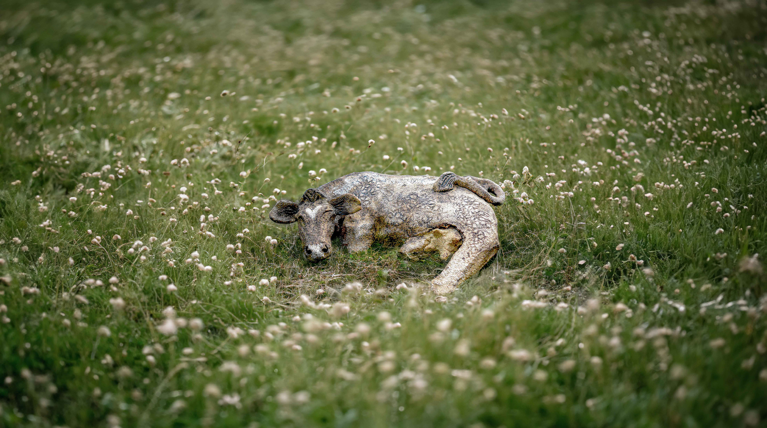 Turid Einbu · Keramiker og skribent