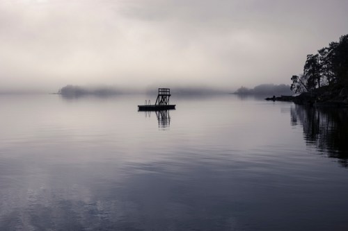 fotograf Fornebu – Profesjonell fotografering i Oslo