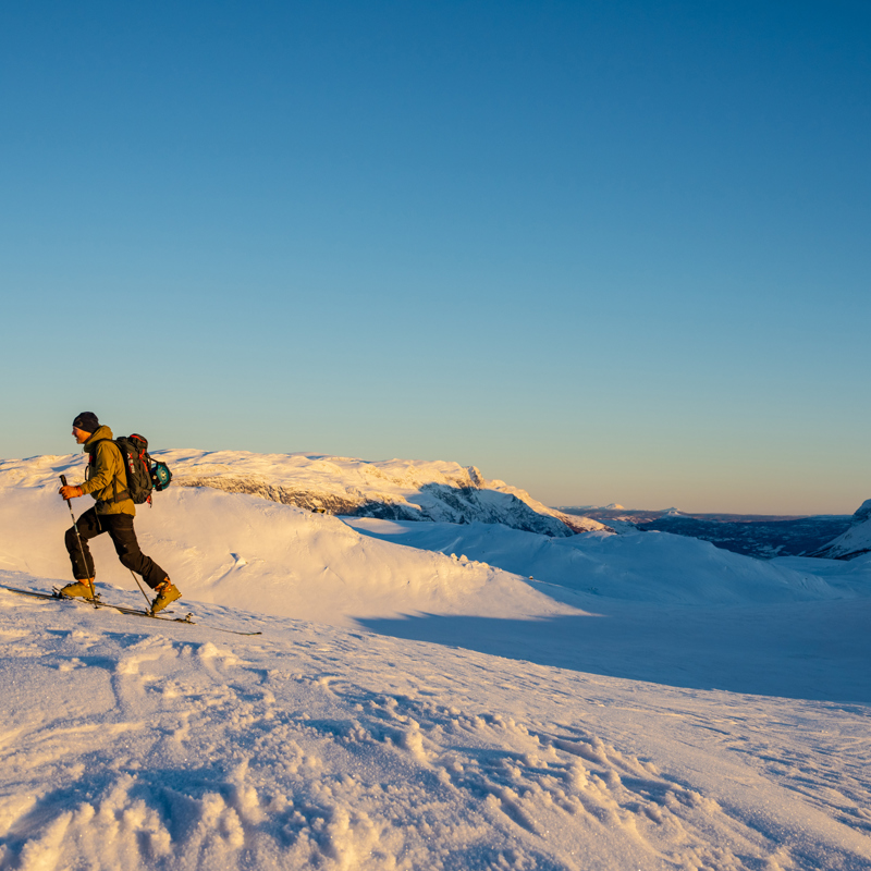 Velkommen til Tyin Filefjell - Tyin Filefjell