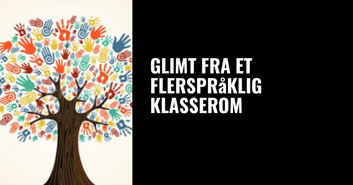 Glimt fra et flerspråklig klasseromWe all smile in the same language