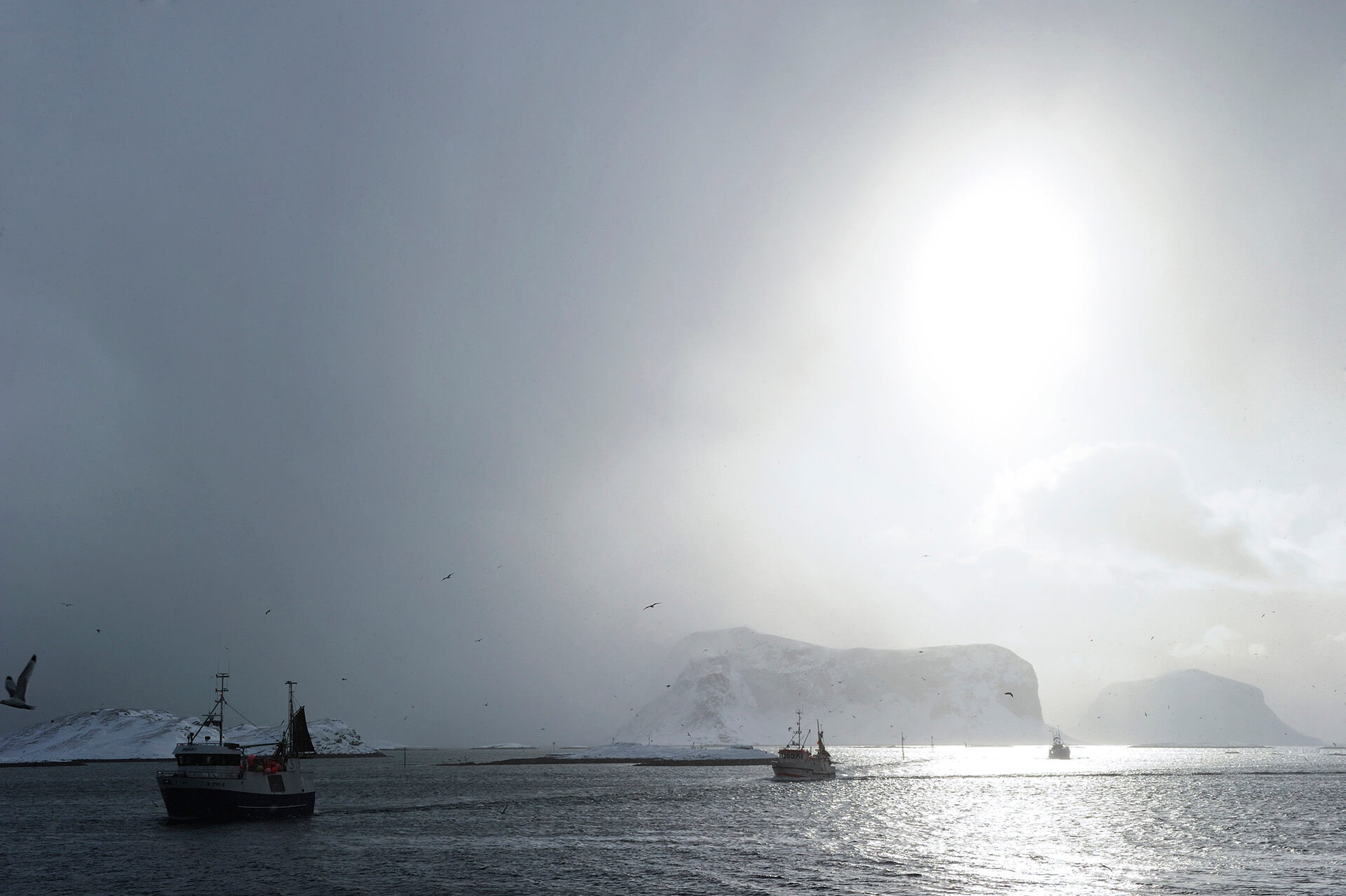 Tradisjonsfisk siden 1936 - Glea