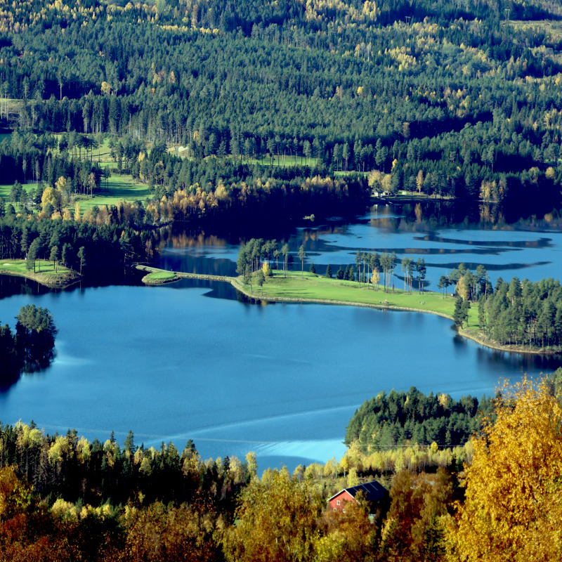 Hjem - Valdres Golf