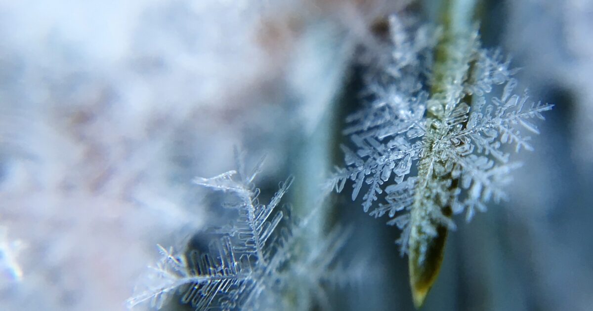 Våler kommune | Velkommen til Våler Kommune